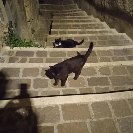 Ju Pretore 3*